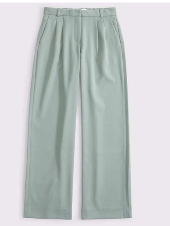 Abercrombie & Fitch Pants - A&F Sloane Low Rise Tailored Wide Leg Pant 24 Long